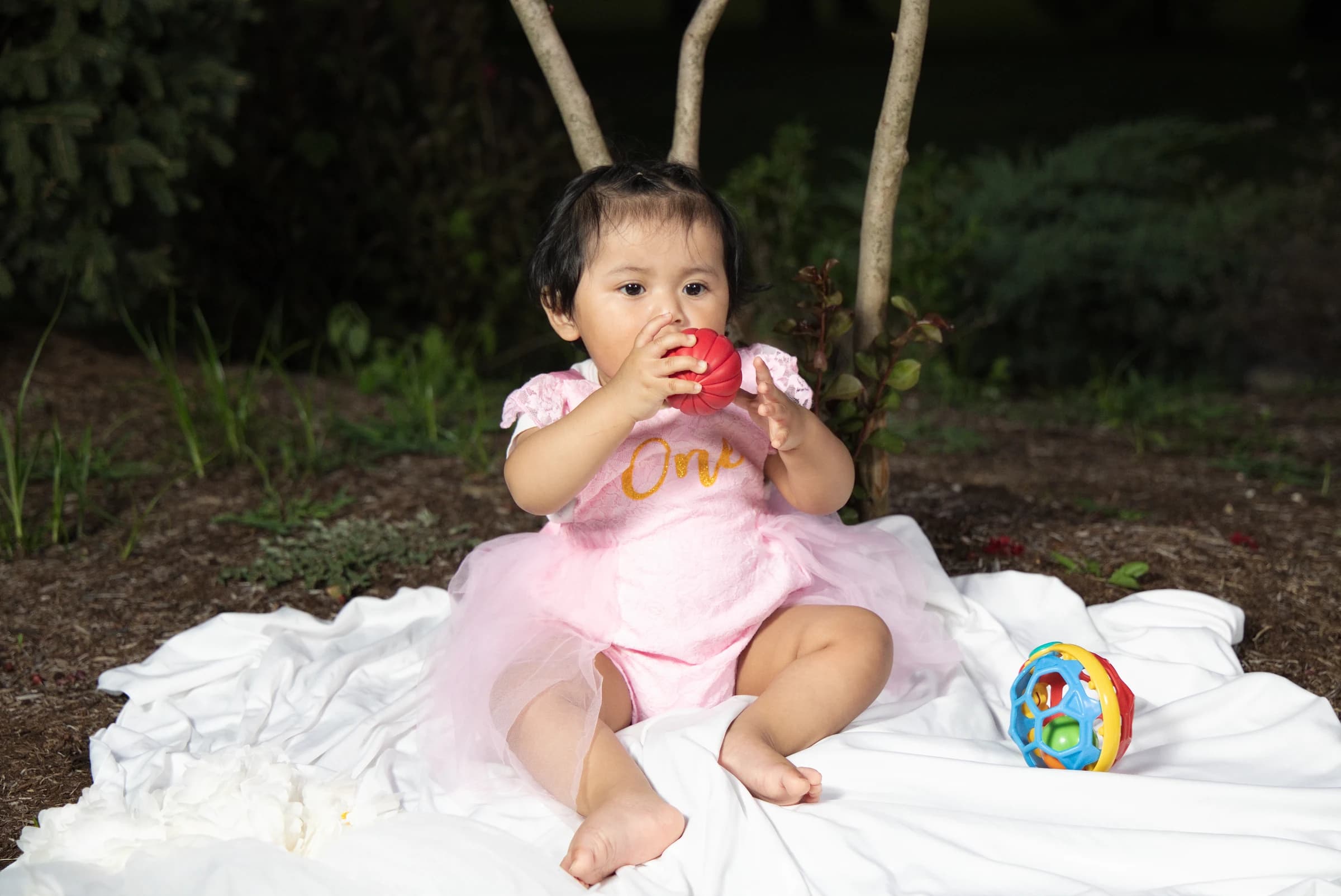 Little girl in a pink dress playing on her first birthday